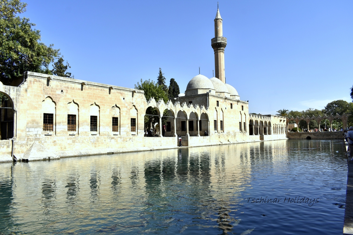 Урфа, езерото с рибите